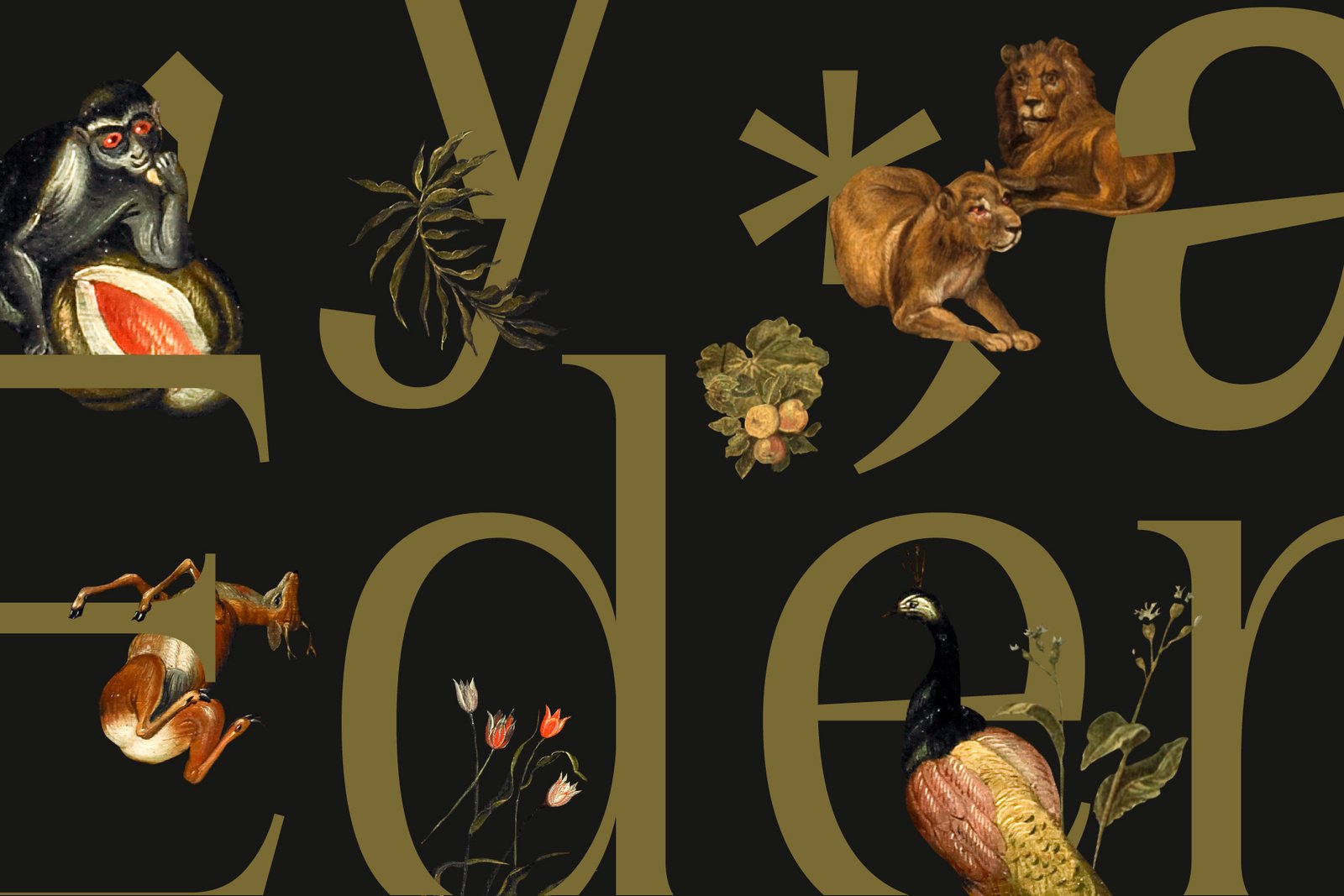 Paraísos y Jardines-Toquica-Estudio-de-diseño