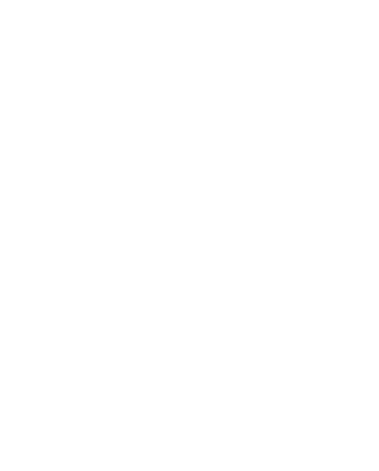 TOQUICA